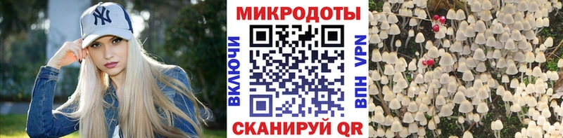 Псилоцибиновые грибы мухоморы Ельня